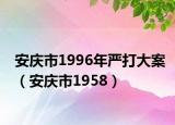 安庆市1996年严打大案（安庆市1958）
