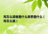 焉怎么读音是什么意思是什么（焉怎么读）