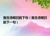 我生待明日的下句（我生待明日的下一句）