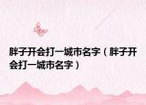 胖子开会打一城市名字（胖子开会打一城市名字）