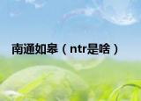 南通如皋（ntr是啥）
