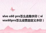 vivo x60 pro怎么去除水印（vivox60pro怎么设置自定义水印）