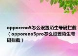 opporeno5怎么设置陌生号码拦截（opporeno5pro怎么设置陌生号码拦截）