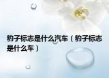 豹子标志是什么汽车（豹子标志是什么车）