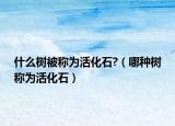 什么树被称为活化石?（哪种树称为活化石）