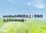 purnhurb手机怎么上（手机怎么上Purnhub站）
