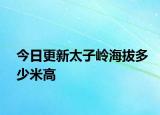 今日更新太子岭海拔多少米高
