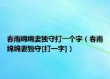 春雨绵绵妻独守打一个字（春雨绵绵妻独守[打一字]）