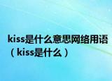 kiss是什么意思网络用语（kiss是什么）