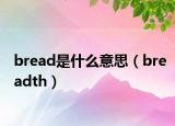 bread是什么意思（breadth）