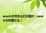 assets文件怎么打开图片（assets文件是什么）