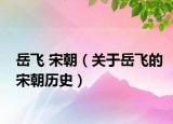 岳飞 宋朝（关于岳飞的宋朝历史）