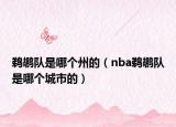 鹈鹕队是哪个州的（nba鹈鹕队是哪个城市的）
