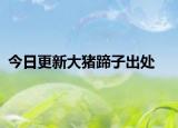 今日更新大猪蹄子出处