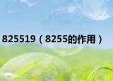 825519（8255的作用）