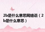 2b是什么意思网络语（2b是什么意思）