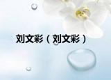 刘文彩（刘文彩）