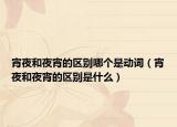 宵夜和夜宵的区别哪个是动词（宵夜和夜宵的区别是什么）