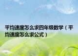 平均速度怎么求四年级数学（平均速度怎么求公式）