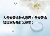 人各安天命什么意思（各安天命各自安好是什么意思）