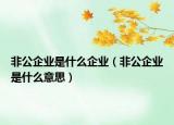 非公企业是什么企业（非公企业是什么意思）