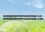 张家界地貌类型多样其中最具特色的是什么地（张家界地貌类型多样其中最具特色的是什么地貌）