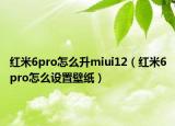 红米6pro怎么升miui12（红米6pro怎么设置壁纸）