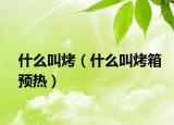 什么叫烤（什么叫烤箱预热）