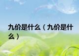 九价是什么（九价是什么）