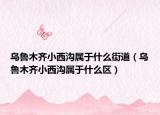 乌鲁木齐小西沟属于什么街道（乌鲁木齐小西沟属于什么区）