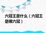 六冠王是什么（六冠王是哪六冠）