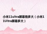 小米11ultra屏幕有多大（小米11Ultra屏幕多大）