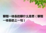 聊赠一枝春的聊什么意思（聊赠一枝春的上一句）