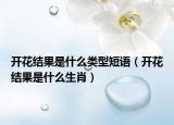 开花结果是什么类型短语（开花结果是什么生肖）