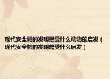 现代安全帽的发明是受什么动物的启发（现代安全帽的发明是受什么启发）