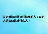 丧家犬比喻什么样特点的人（丧家犬地头蛇比喻什么人）