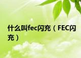 什么叫fec闪充（FEC闪充）