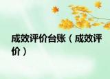 成效评价台账（成效评价）
