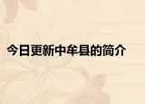 今日更新中牟县的简介