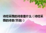 诗经采薇的诗意是什么（诗经采薇的诗意(节选)）