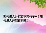 如何进入开发者模式oppo（如何进入开发者模式）