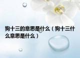 狗十三的意思是什么（狗十三什么意思是什么）