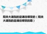 阳关大道指的是通往哪里的（阳关大道指的是通往哪里的路）
