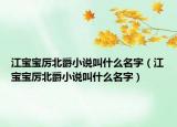江宝宝厉北爵小说叫什么名字（江宝宝厉北爵小说叫什么名字）
