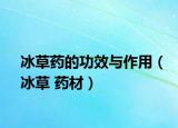 冰草药的功效与作用（冰草 药材）