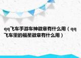 qq飞车手游车神徽章有什么用（qq飞车里的福星徽章有什么用）