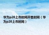 华为p20上市时间开售时间（华为p20上市时间）