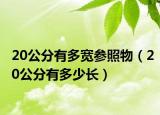 20公分有多宽参照物（20公分有多少长）