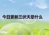 今日更新三伏天是什么