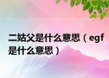 二姑父是什么意思（egf是什么意思）